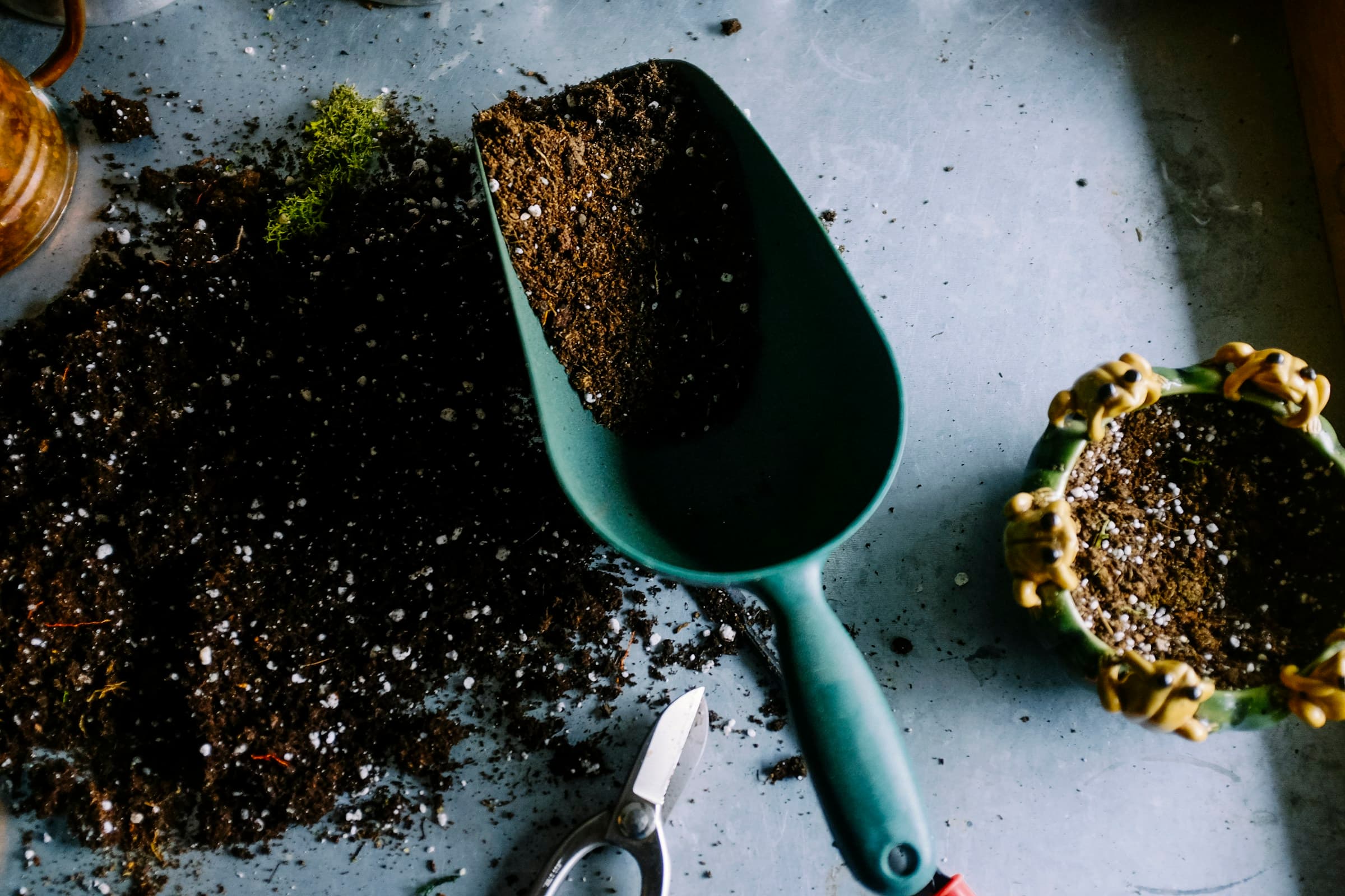 Gepflegter Garten – Garten- und Grünflächenarbeit